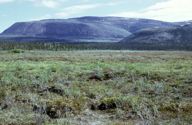 Table Mountain in Summer Picture