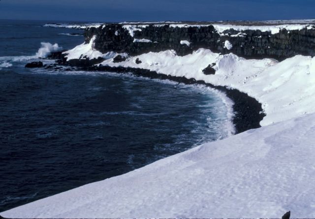 St. Paul seabird cliffs, Bering Sea Picture