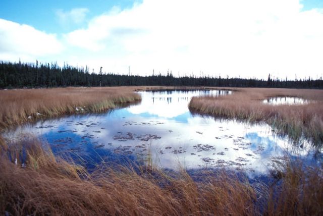 Deadman Lake in Summer Picture