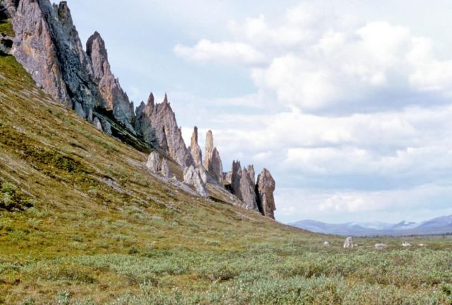 Mancha Pinnacles Picture