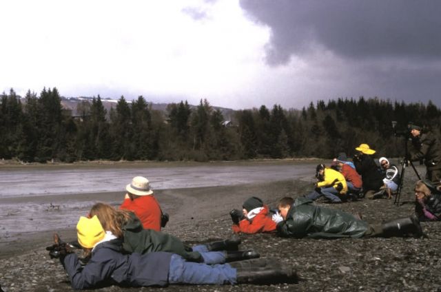 Homer, Shorebird Environmental Education in Kachemak Bay, Alaska Picture