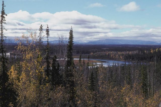 Scenic View of Tetlin NWR Picture