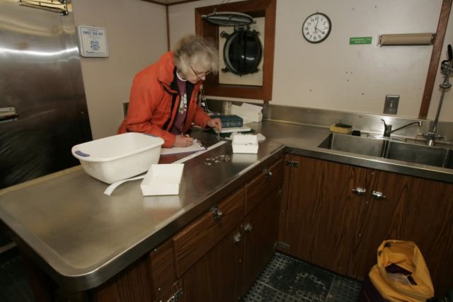 Forage fish studies on board the USFWS M/V Tiglax Picture