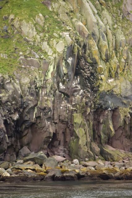 Koniuji Island bird cliffs Picture