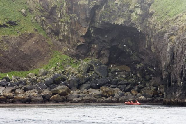 Koniuji Island, Aleutians, Picture