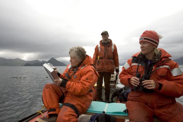 Forage fish studies, Peninsula Island Picture
