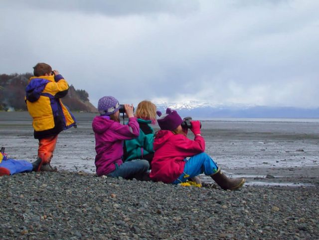 Homer, Shorebird Environmental Education Picture