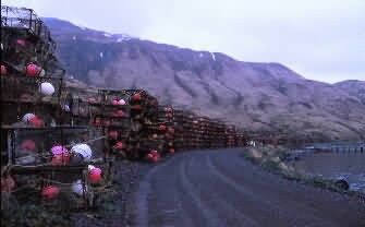 Crab fishing pots Picture