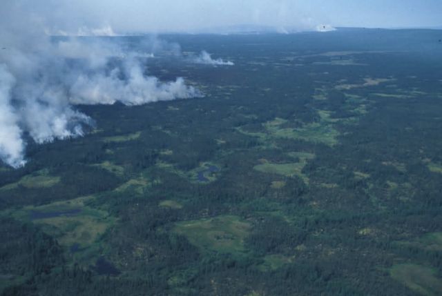 Forest Fire in the Innoko Refuge Picture
