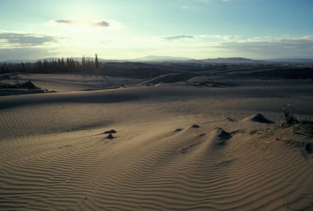 Nogahabara Sand Dunes Picture