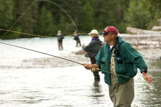 Fly Fisherman Picture