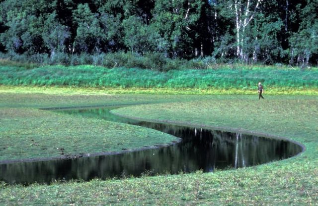 Innoko Refuge Wetlands Picture