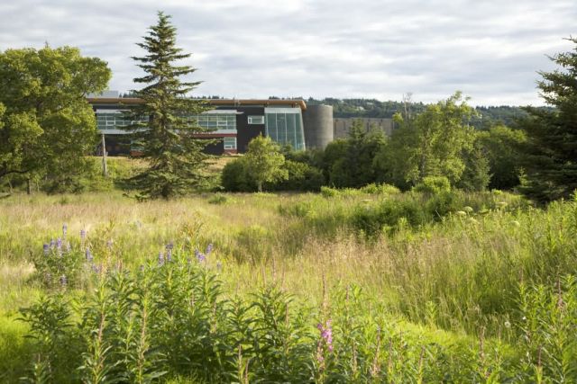 Alaska Islands and Ocean Visitor Center, moose habitat Picture