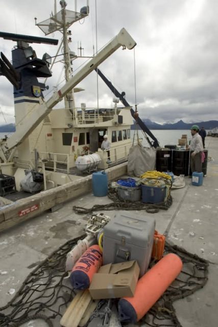 Loading the Tiglax in Homer Picture