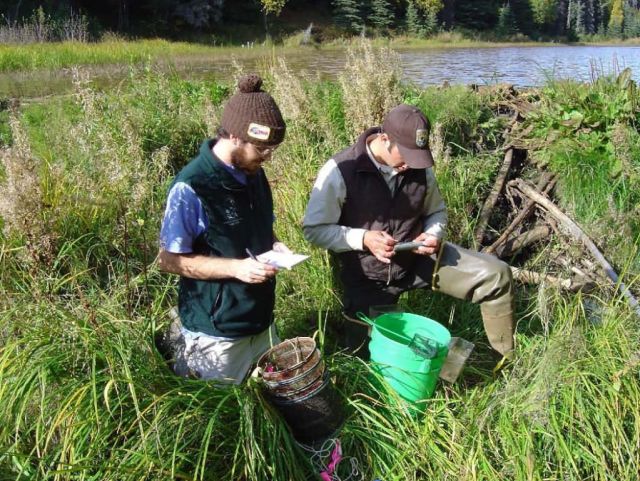 Fish Research Picture