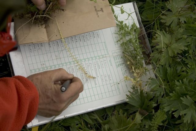 Aiktak plant identification data collection Picture