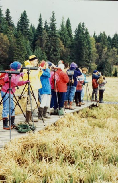Kachemak Bay Shorebird Festival 1st Picture