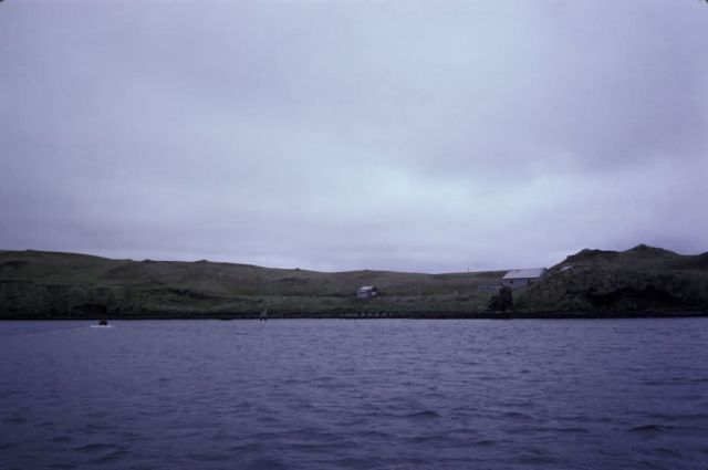 Kanaga Fox Farm Historic Ruins Picture