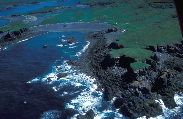 Naugolka Point Coastline, Kodiak Picture