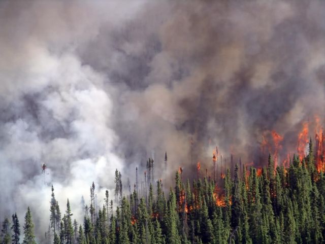 King County Creek Fire 2005 Picture