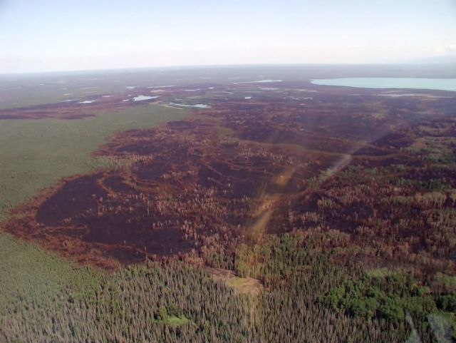 King County Creek Fire 2005 Picture
