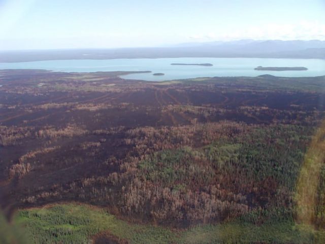 King County Creek Fire 2005 Picture