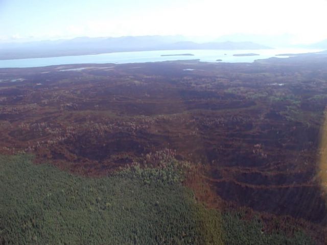 King County Creek Fire 2005 Picture