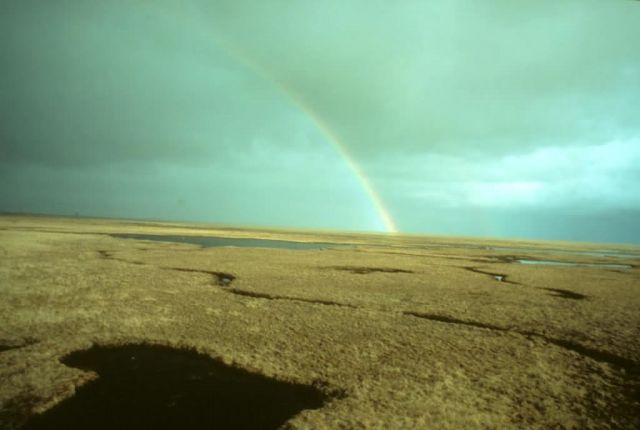 Yukon Delta NWR Summer Rainbow Picture