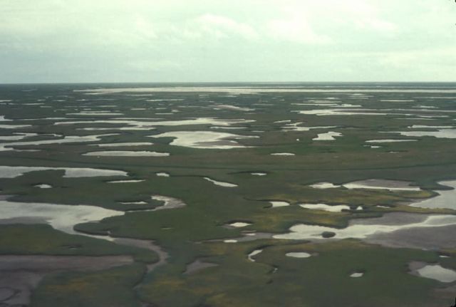 Kuskokwim Delta Wetlands - Aerial View Picture