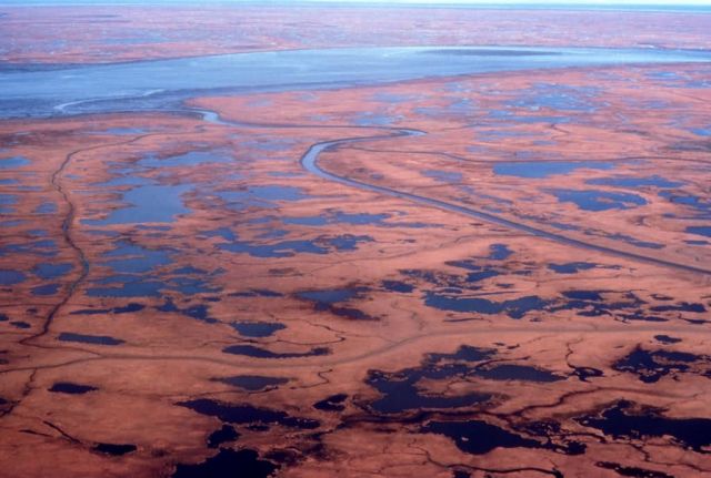 Yukon Delta Wetlands - Aerial View Picture