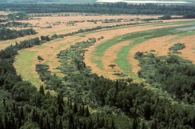 River Oxbows - Aerial View Picture