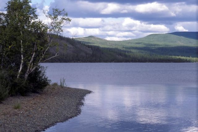 Kanuti Refuge Landscape Picture