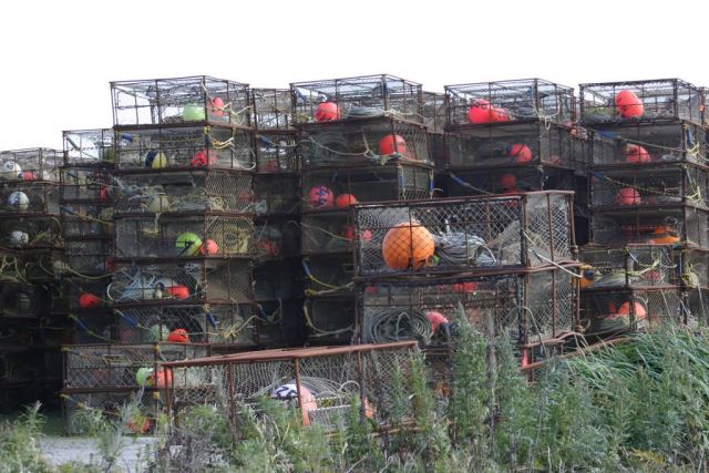 Dutch Harbor, Unalaska crab pots Picture