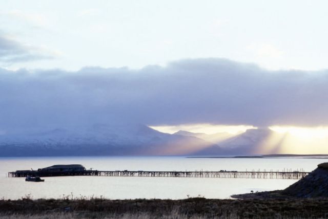 Cold Bay and Pier Picture
