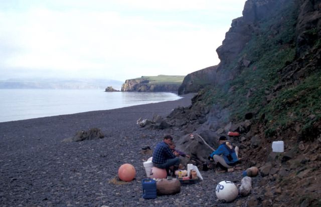 Hall Island dinner break, Bering Sea Picture
