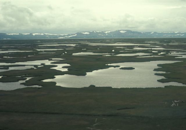 Hazen Bay on the Yukon Delta Refuge Picture