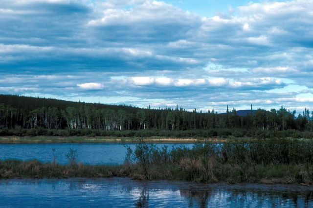 Kanuti Refuge Landscape Picture