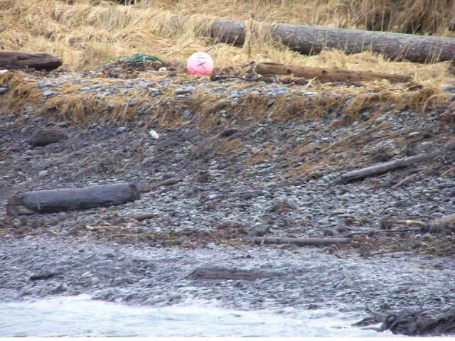 M/V Selendang Ayu Oil Spill Unalaska 2004 Picture
