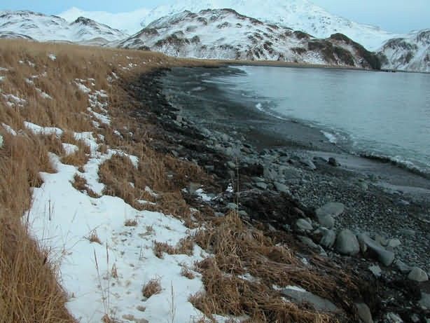 M/V Selendang Ayu Oil Spill Unalaska 2004 Picture