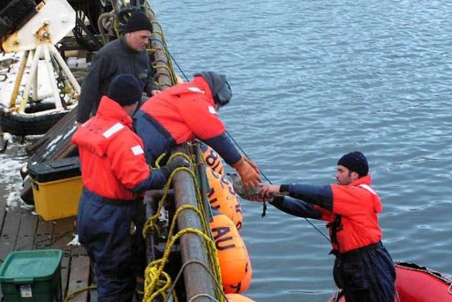 M/V Selendang Ayu Oil Spill Unalaska 2004 Picture