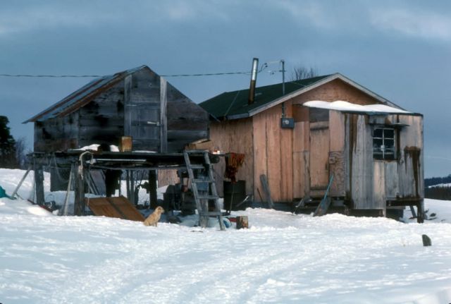House and Standing Cache in Aleknagik Picture
