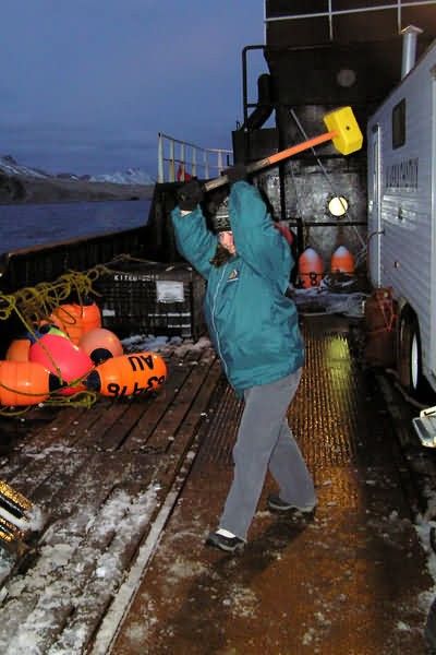 M/V Selendang Ayu Oil Spill Unalaska 2004 Picture