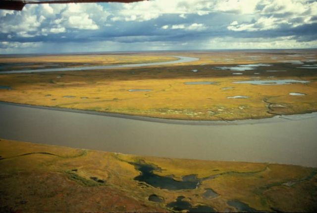 Yukon Delta Fall Tundra Picture