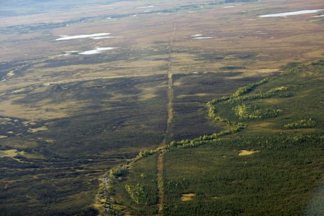 Hickle Highway on the Kanuti National Wildlife Refuge Picture