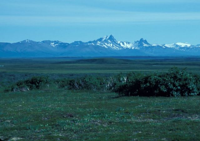 Becharof National Wildlife Refuge Landscape Picture