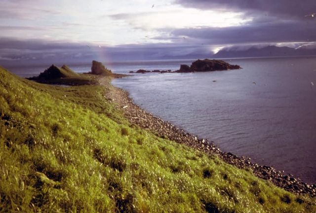 Amagat Island Picture