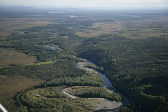 Henshew Creek, Kanuti NWR Picture