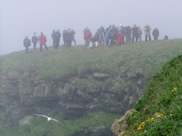 Birders at St. Paul, Alaska Picture