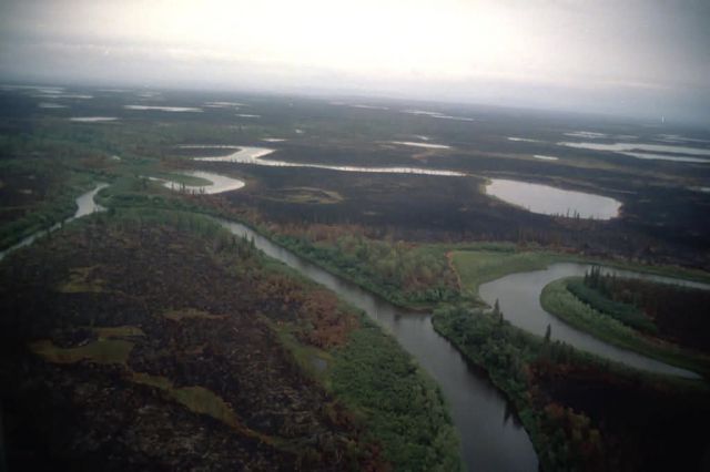 Waring Mountains Burn Site in the Selawik Wilderness Area Picture