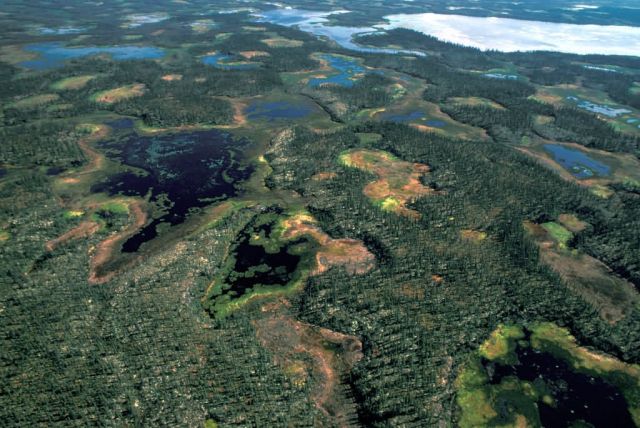 Innoko Refuge Wetlands Picture